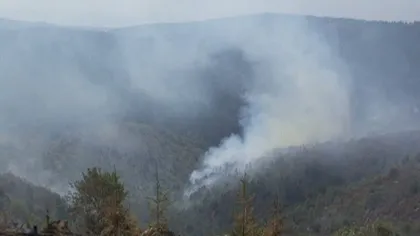 Incendiu de proporţii în judeţul Suceava. Mai multe hectare de pădure au luat foc