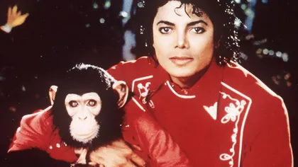Vezi cu ce sumă s-au vândut TABLOURILE pictate de MAIMUŢA abandonată a lui Michael Jackson FOTO