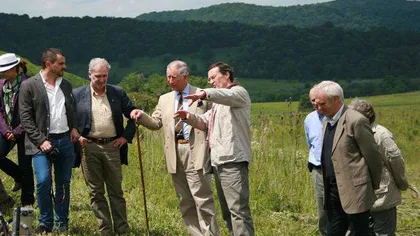Prinţul Charles se va implica în proiecte de mediu în România