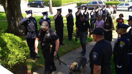 Emoţionant: Un câine poliţist, care urma să fie eutanasiat, salutat de ofiţeri FOTO