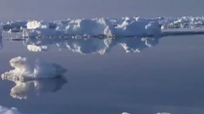 Captivi în Oceanul Arctic: 30 turişti şi vânători, blocaţi pe o banchiză ce pluteşte în derivă