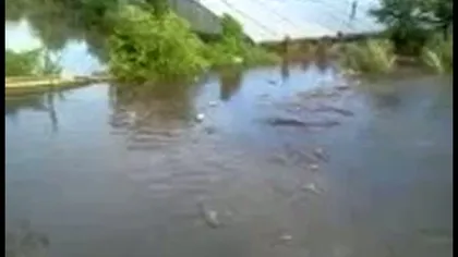 Zeci de gospodării din Galaţi, inundate în urma unei ploi torenţiale. Viitura a distrus tot VIDEO