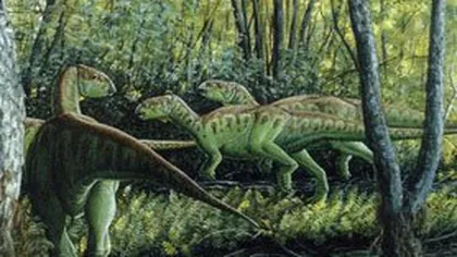 Dinozaurii pitici din Ţara Haţegului, vedete cu ocazia Săptămânii Europene a Geoparcurilor