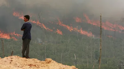 Incendii masive de pădure în Sumatra. Singapore şi Malaysia, acoperite de smog