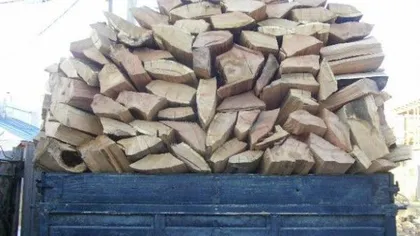 Patru bărbaţi, sancţionaţi contravenţional pentru comercializare ilegală de material lemnos
