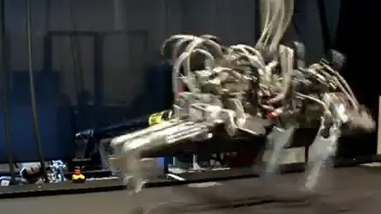 Robotul care aleargă cu viteza unei feline