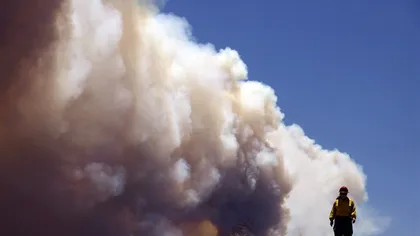 19 pompieri au fost înghiţiţi de flăcări când încercau să stingă un incendiu de vegetaţie VIDEO
