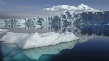 O treime din viaţa polară marină este ameninţată de schimbările climatice