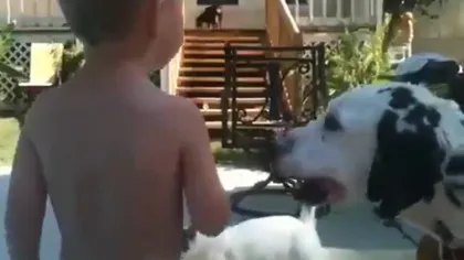 Câine RĂU. Vezi ce se întâmplă cu un copil într-o clipă de neatenţie VIDEO