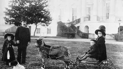 Ce animale ciudate ţineau la Casa Albă foştii preşedinţi americani - FOTOGALERIE