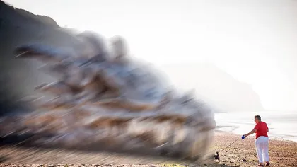 Explicaţia dată turiştilor speriaţi după ce au găsit pe plajă un CRANIU de DRAGON, lung de 12 metri