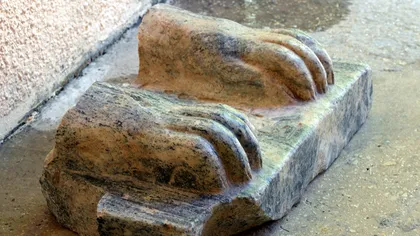 Descoperire inedită: Un fragment dintr-un sfinx egiptean, găsit în Israel FOTO