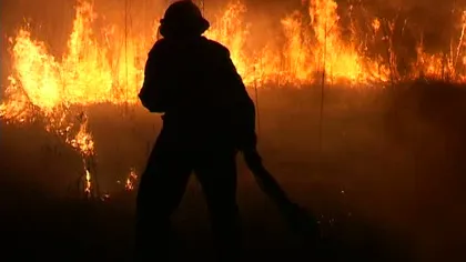 Incendiu PUTERNIC la marginea unei păduri. Pompierii intervin cu lopeţi, cazmale, mături şi sape