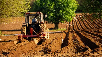 Mii de agricultori au fraudat statul român pentru a obţine subvenţii mai mari