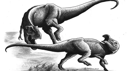 Spaima dinozaurilor: Tyrannosaurus Rex nu era doar un necrofag, ci şi un prădător