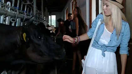 Concurentele la Miss World România, de la spa la coada vacii. Vezi cum s-au descurcat cu mulsul
