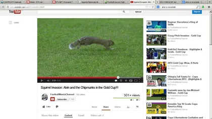 Ofensiva veveriţelor. Apariţie amuzantă pe gazon, la un meci din Gold Cup VIDEO