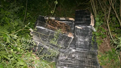 Ţigări de contrabandă confiscate de poliţiştii de frontieră în Vaslui