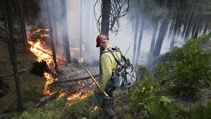 Incendiul de la parcul natural californian Yosemite continuă să se extindă