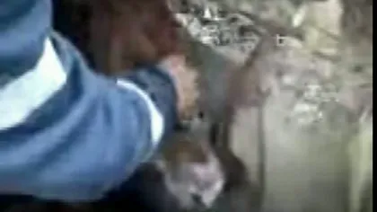 Moment emoţionant: Un cal a fost salvat dintr-un canal, la Timişoara VIDEO