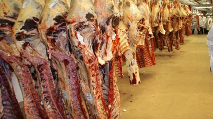 România importă de peste şapte ori mai multă carne de porc decât exportă