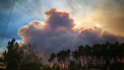 Incendii în Portugalia: Sute de pompieri au fost mobilizaţi pentru stingerea focului