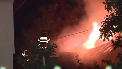 Incendiu puternic în localitatea Sinteşti, judeţul Ilfov VIDEO