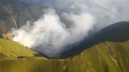 Incendiu de pădure în Munţii Maramureşului: Pompierii se luptă cu flăcările de peste 24 de ore