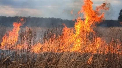 Incendiu de vegetaţie în apropierea Aeroportului Otopeni