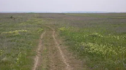 Persoanele fizice române sau din UE nu vor putea deţine mai mult de 100 ha teren agricol extravilan