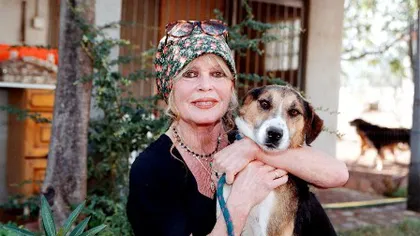 Brigitte Bardot sare din nou în apărarea maidanezilor români. Vezi ce i-a transmis lui Băsescu