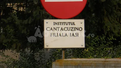 Institutul Cantacuzino de la Iaşi va fi închis