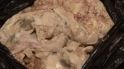 BRUTĂRIE INFECTĂ în Cluj-Napoca. Inspectorii OPC au găsit carne mucegăită şi produse expirate VIDEO