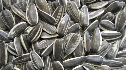 MIT sau ADEVĂR: Cojile de seminţe pot conduce la APENDICITĂ? Vezi explicaţia specialistului