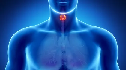 Semne care ar trebui să te îngrijoreze grav, cu privire la tiroidă