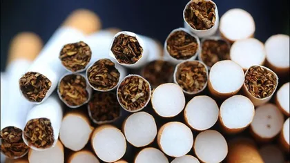 Inspectorii vamali au descoperit două FABRICI ILEGALE de producţie ţigări şi alcool