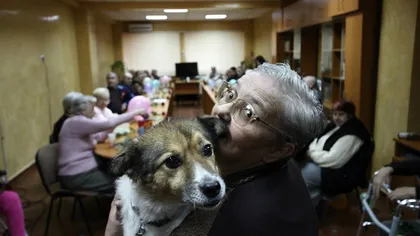 Căţeii maidanezi au ajuns animale de terapie: Povestea câinilor care aduc bucurie copiilor şi bătrânilor FOTO