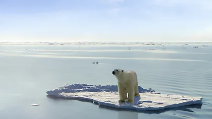 Schimbările climatice afectează Arctica în mod diferit de Antarctica