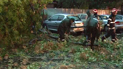 ISU Bucureşti: Zeci de apeluri la 112 în ultimele ore; maşini avariate şi copaci căzuţi