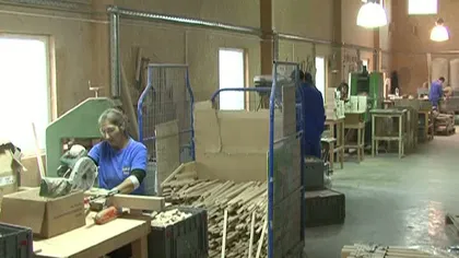 Afacere nemţească în România. 500.000 de euro într-o fabrică de jucării din lemn