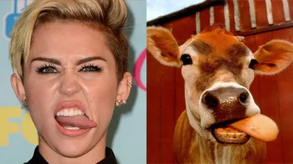 MORI DE RÂS. Cele mai amuzante asemănări dintre Miley Cyrus şi diferite personaje FOTO
