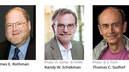 Premiul Nobel 2013 pentru Medicină: James E. Rothman, Randy W. Schekman şi Thomas C. Sudhof