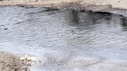 Un pârâu din Argeş, poluat cu o tonă de ţiţei, din cauza hoţilor de produse petroliere
