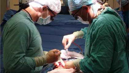Radu Deac: Reluarea transplantului cardiac la Institutul Inimii din Târgu Mureş este o chestiune iminentă