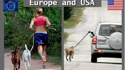 Ce ar avea de ÎNVĂŢAT americanii de la europeni GALERIE FOTO