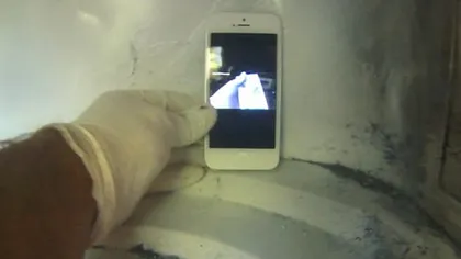 Ce se întâmplă dacă bagi un iPhone 5 în cuptorul cu microunde VIDEO