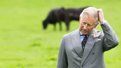 Prinţul Charles, luat LA BANI MĂRUNŢI: Parlamentarii cer să vadă ce IMPOZITE plăteşte moştenitorul regatului