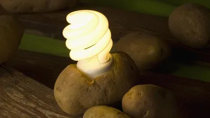 Energia cartofului: Cum poate fi folosit pentru a ne lumina casele