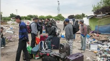 Primarul din Sacoşu: Jumătate din romii din comună vor să plece în Anglia la muncă