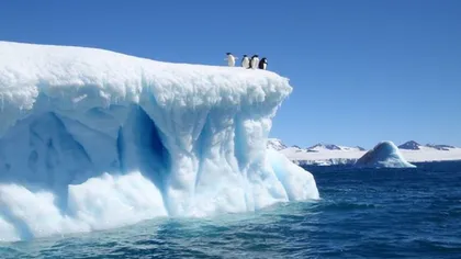 DESCOPERIRE neaşteptată în Antarctica: Vulcan activ, descoperit sub 1.000 de metri de gheaţă